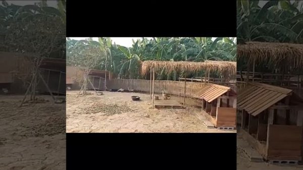 สถานที่ท่องเที่ยว The Ugly Duckling.