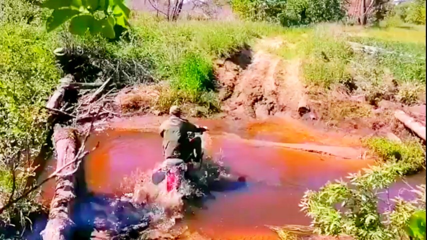 Покатался-искупался смотреть онлайн