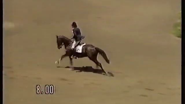 Pierre Durand - Jappeloup - 1984 Olympic Games Los Angeles