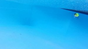 Crankbait Pontoon21, Taba Tao, Underwater filming