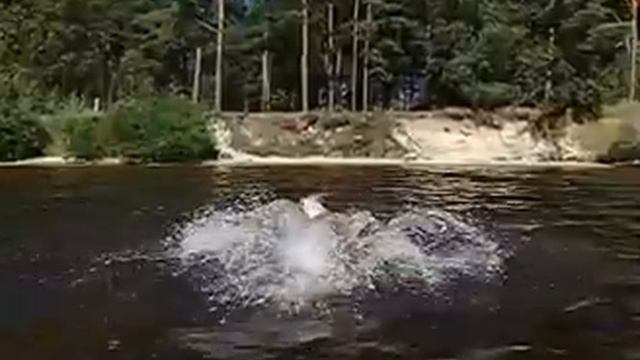 Вода на Casio EXILIM EX FH20 slow motion 210 fps 19 автуста 2009г. смотреть онлайн