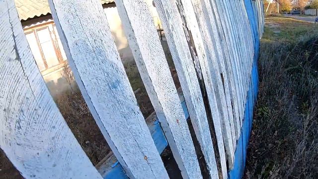 НАПАЛА СОСЕДСКАЯ СОБАКА смотреть онлайн