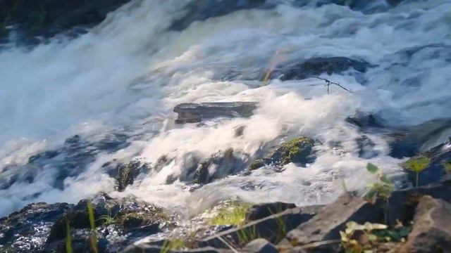 ИНТЕРВЬЮ // Председатель Верховного суда Республики Карелия Анатолий Наквас смотреть онлайн