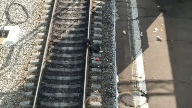 Откуда мусор берется смотреть онлайн