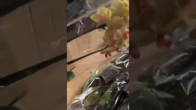 Поставка орхідей в квітковому гаражі! смотреть онлайн