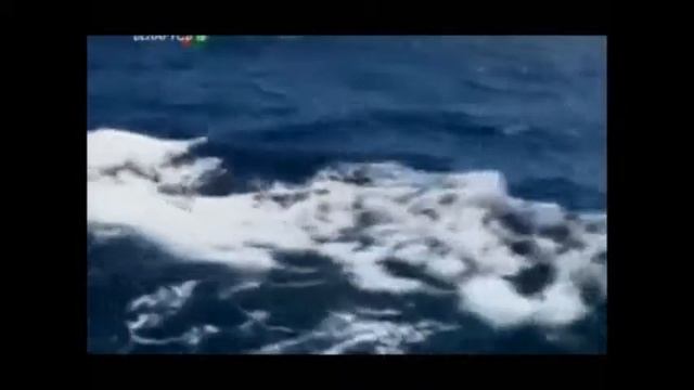Христофор Колумб смотреть онлайн