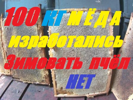Пчелы принесли 100 кг мёда,а зимовать не кому. смотреть онлайн