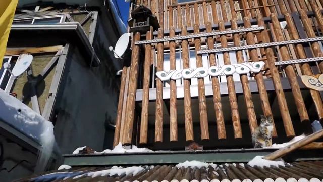 Adeyto ❄️ AINU amazing INDIGENOUS TRIBE of HOKKAIDO Culture Village Kotan 📽️ Huawei P20 Pro смотреть онлайн