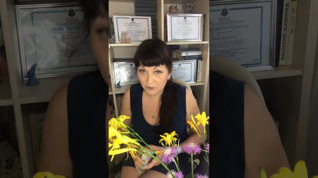 Лев любовь июнь смотреть онлайн