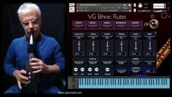 Roland Aerophone and VG Ethnic Flutes sound library for NI Kontakt, woodwind and brass vst plugin.