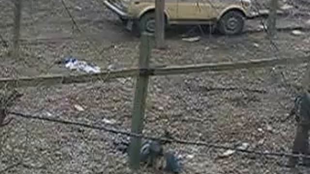 Озабоченная собака. 100% ржач смотреть онлайн