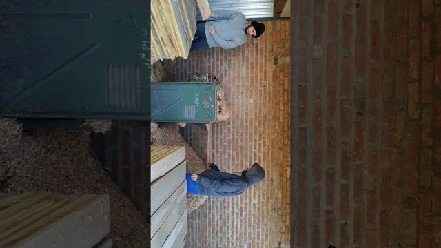 три фазы и профессиональный рейсмус это песня смотреть онлайн