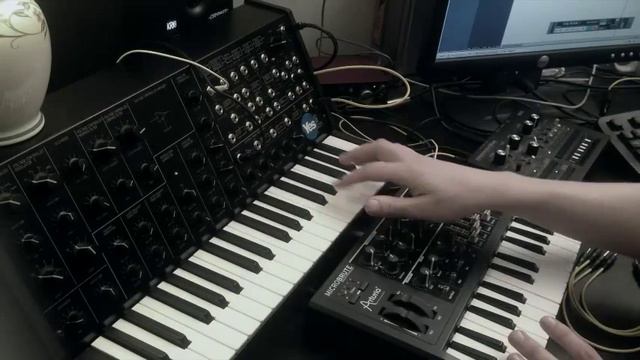 Korg MS-20 + Arturia Microbrute + Korg Monotribe Synced.
