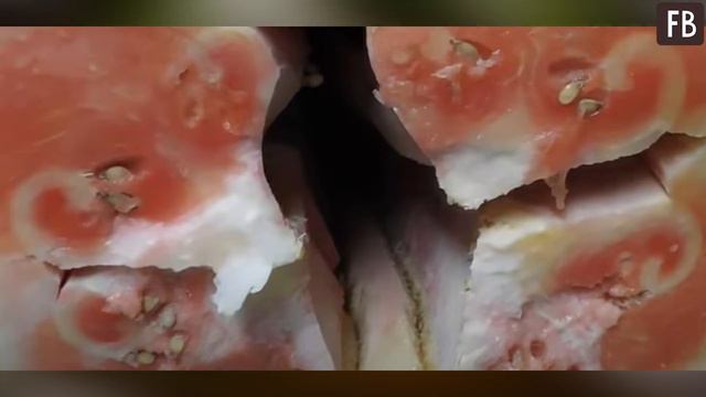 "Внутри, наверное, сахарная сочная мякоть": в предвкушении эпического момента мужчина разрезал смотреть онлайн