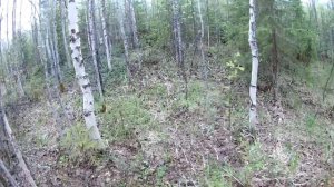 Металлолом в лесу.  Тонны металла в тайге!!!