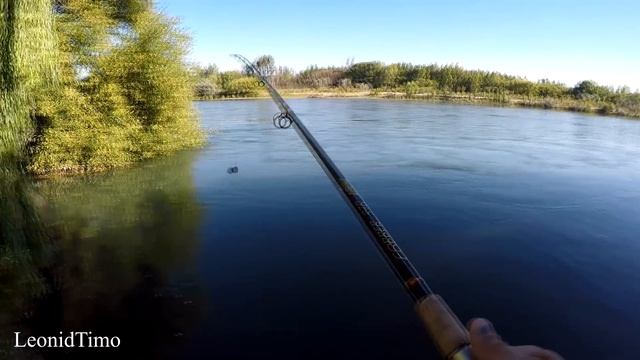 Как на пробку трофейного карпа поймать смотреть онлайн