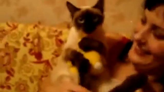 Обнимашки смотреть онлайн