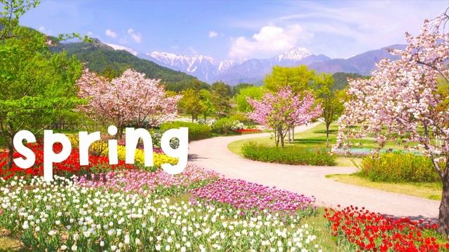 Easter Eggstravaganza: Picture Guessing and Spot the Difference Games for Kids | 4K смотреть онлайн