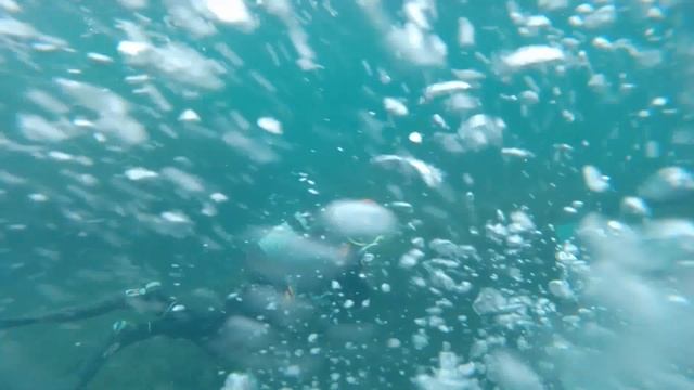 Дайвинг.Судак.Клуб*Аtlantis* смотреть онлайн