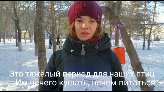 Акция "Покорми птиц зимой" смотреть онлайн
