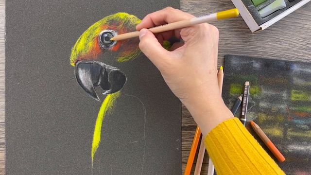 Марафон Краски Лета смотреть онлайн