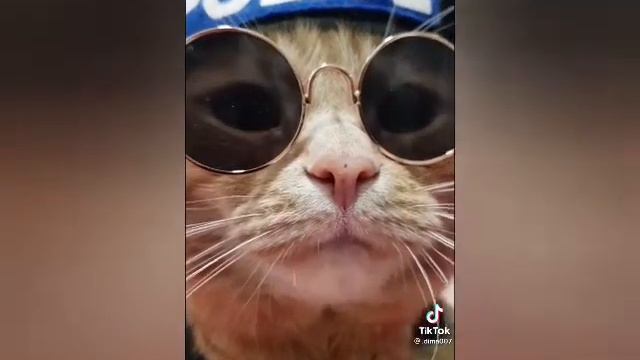 ПОЗДРАВЛЕНИЯ С 8 МАРТОМ ВСЕХ ДЕВУШЕК И МАМ/8 марта день женщин. смотреть онлайн