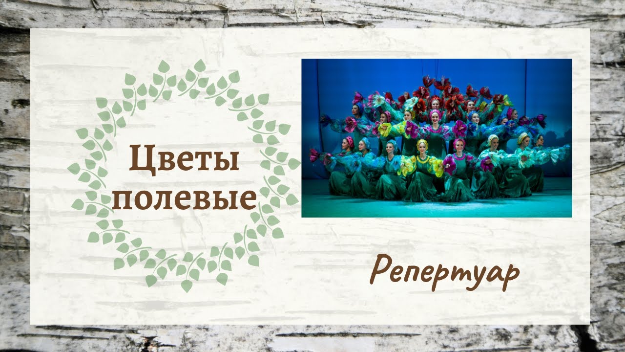 Цветы полевые // Ансамбль "Берёзка" смотреть онлайн