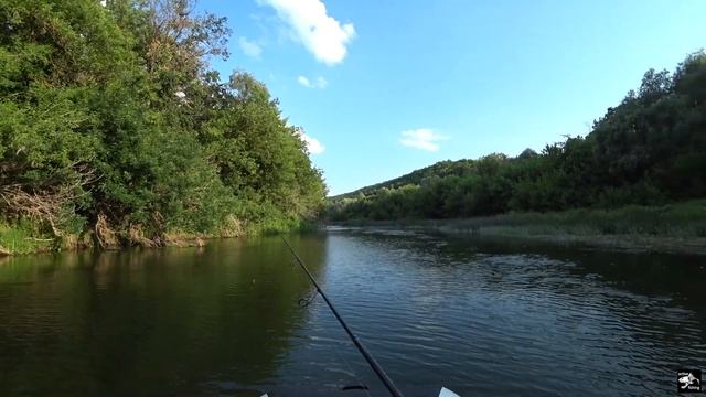 ВОТ ЭТО ПОКЛЕВКА!!! В этой реке море рыбы!!! Рыбалка на реке Хопер сплавом со спиннингом! смотреть онлайн