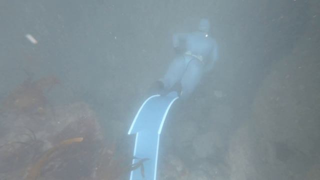 Freediving with Aquacity in Cornwall, UK смотреть онлайн