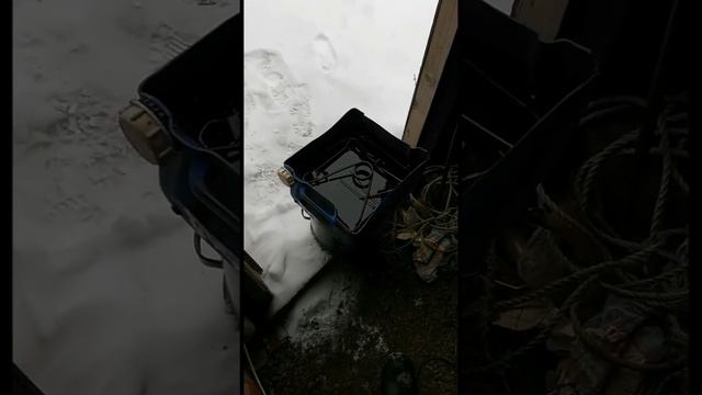 ОКРАСКА И КОНСЕРВАЦИЯ КАПКАНОВ смотреть онлайн