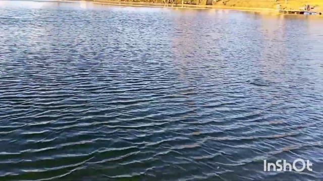 каким был этот день серия 2 смотреть онлайн
