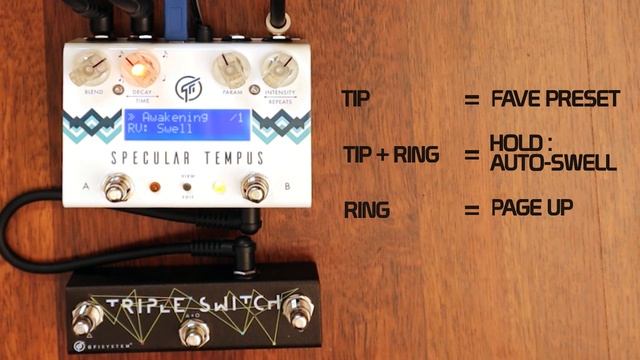 Specular Tempus + Triple Switch