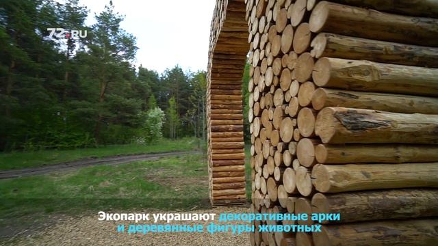 Гуляем по Затюменскому парку смотреть онлайн