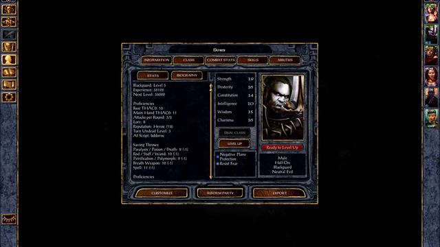 Let's play Baldur's Gate (Insane, P48) - The Ursine Council смотреть онлайн