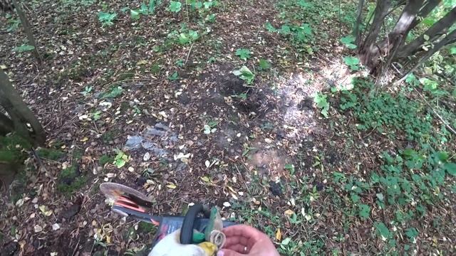 РЕШИЛ ПРОЙТИСЬ С МЕТАЛЛОИСКАТЕЛЕМ ВДОЛЬ ЗАБОРА! смотреть онлайн