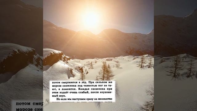 Почему снег скрипит под ногами? Читаю книгу "я познаю мир". смотреть онлайн