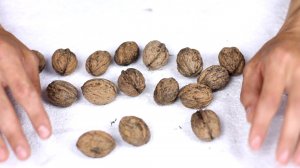 Как правильно выбирать и есть грецкий орех?