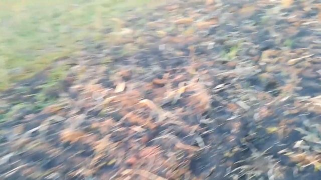 Скоро посадка чеснока!Низкий старт! смотреть онлайн