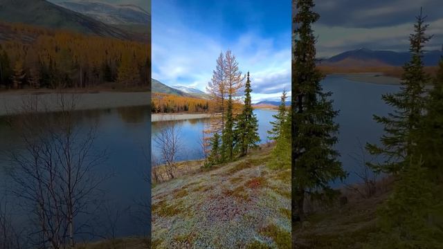 Река Собь. Полярный Урал. Невероятная осень северных регионов России. #природа #природароссии #собь смотреть онлайн