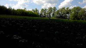 культиватор КРОТ прополка картошки