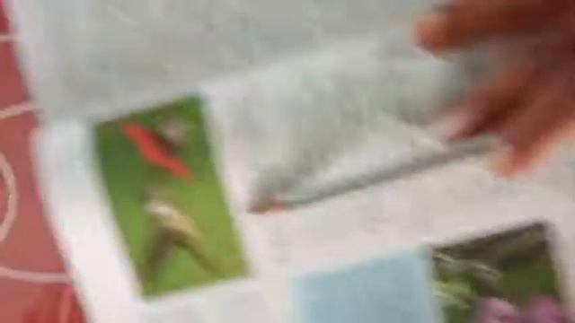 biology 12 смотреть онлайн