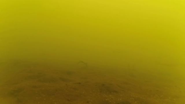 Подводная съемка. 2 щуки под водой за 8 минут! смотреть онлайн