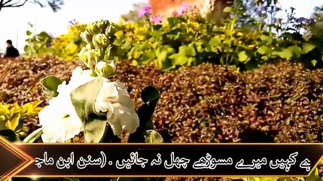 11 Rajab Ka Khas Wazifa || Day Of 11wen Shareef 2020 K 2 Nafil Ghous Pak K Sadqay Urdu Hindi