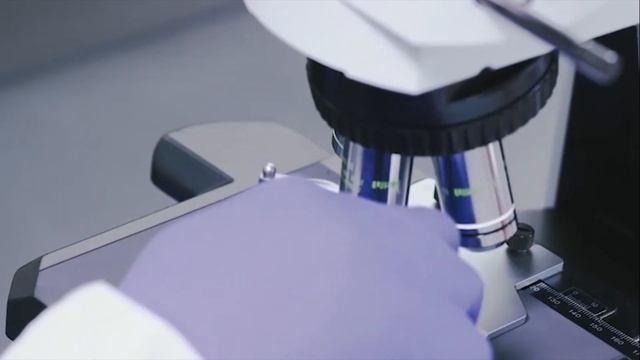 Basic Microscopy – Microscope Components смотреть онлайн
