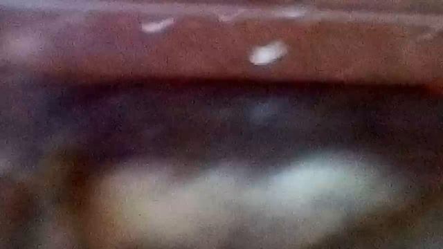 Маленькие рыбы