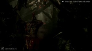 Ryse: Son Of Rome - красивый, кровавый и зрелищный (Обзор)