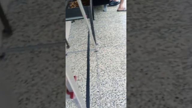 жвачки ТУРБО смотреть онлайн