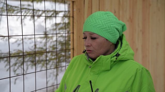 "Лапушка" - волонтерский приют для собак-отказников породы хаски. Ковдор. смотреть онлайн