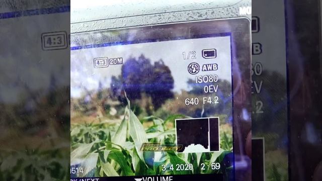 TUTORIAL SETTING BOKEH KAMERA SONY DSCH300 !! смотреть онлайн