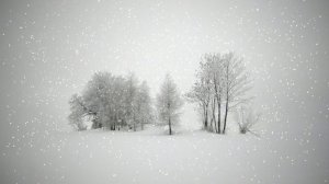 Футаж. Зимний пейзаж 51